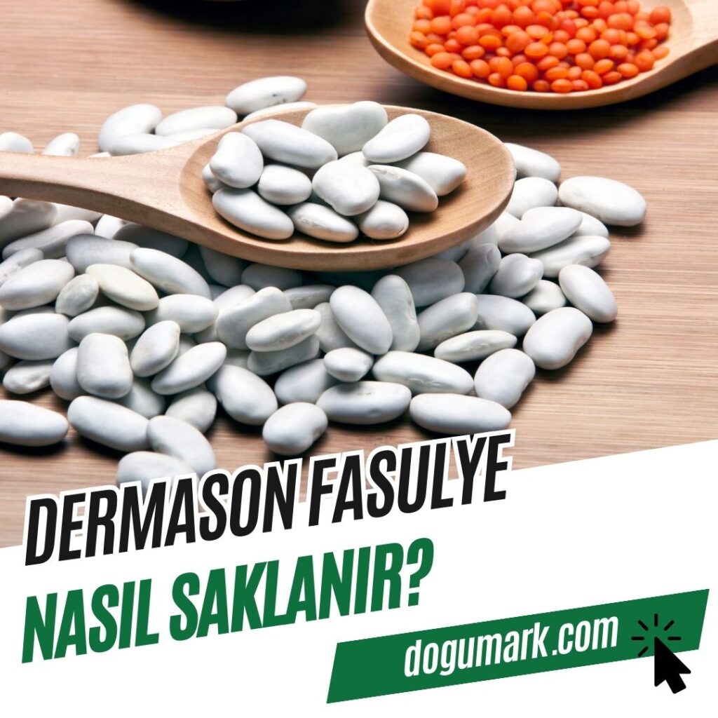 Dermason Fasulye Nasıl Saklanır