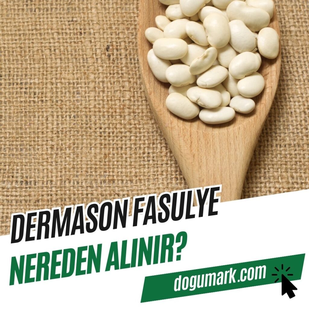 Dermason Fasulye Nereden Alınır