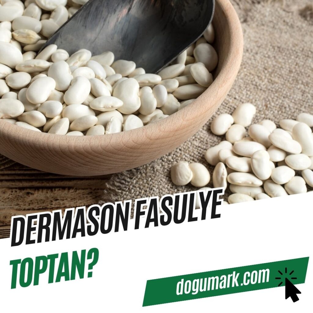 Dermason Fasulye Toptan