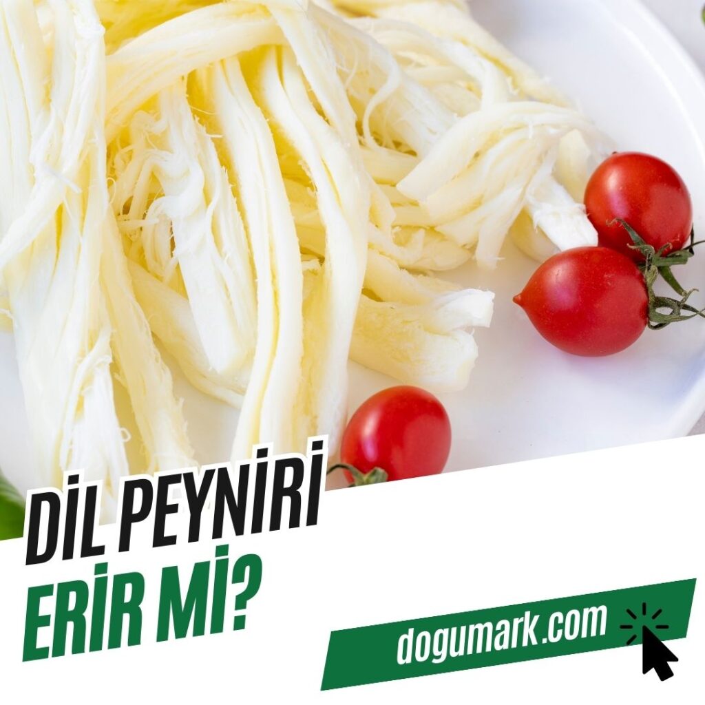 Dil Peyniri Erir mi