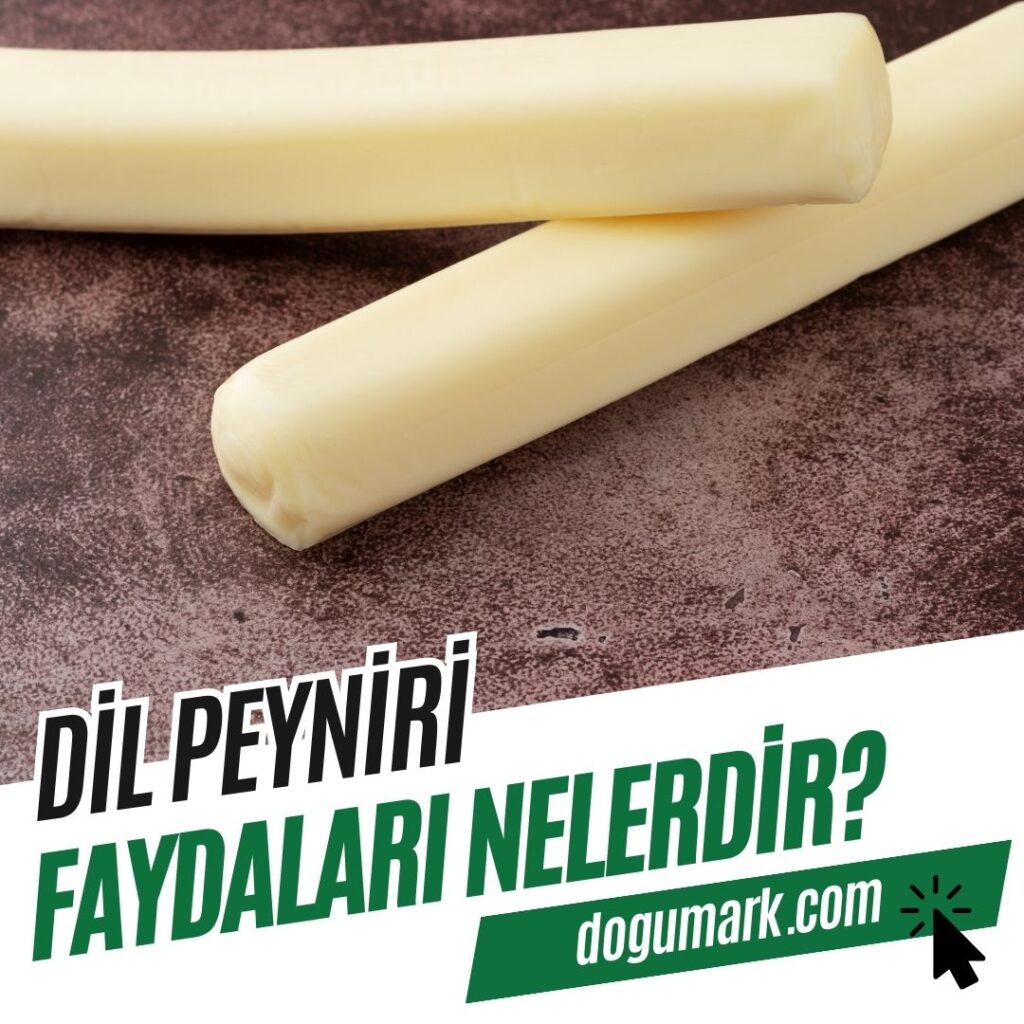 Dil Peyniri Faydaları Nelerdir