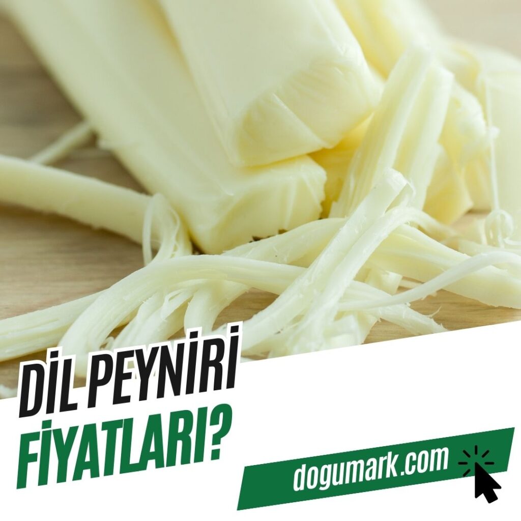 Dil Peyniri Fiyatları