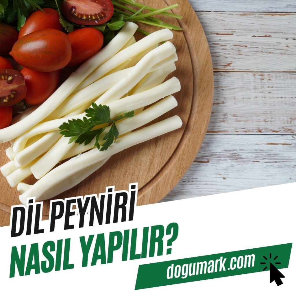 Dil Peyniri Nasıl Yapılır