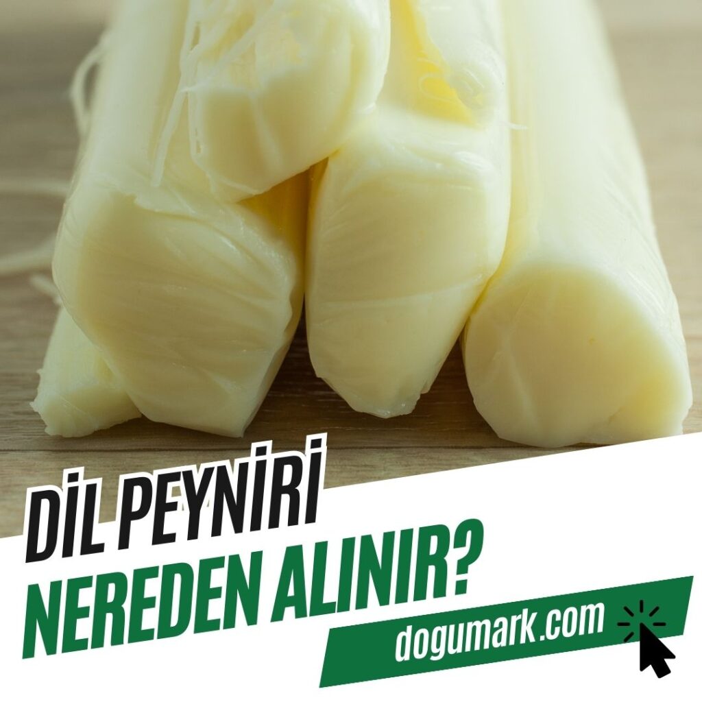 Dil Peyniri Nereden Alınır