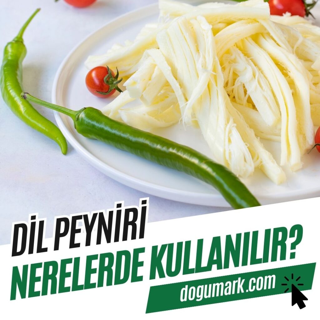 Dil Peyniri Nerelerde Kullanılır