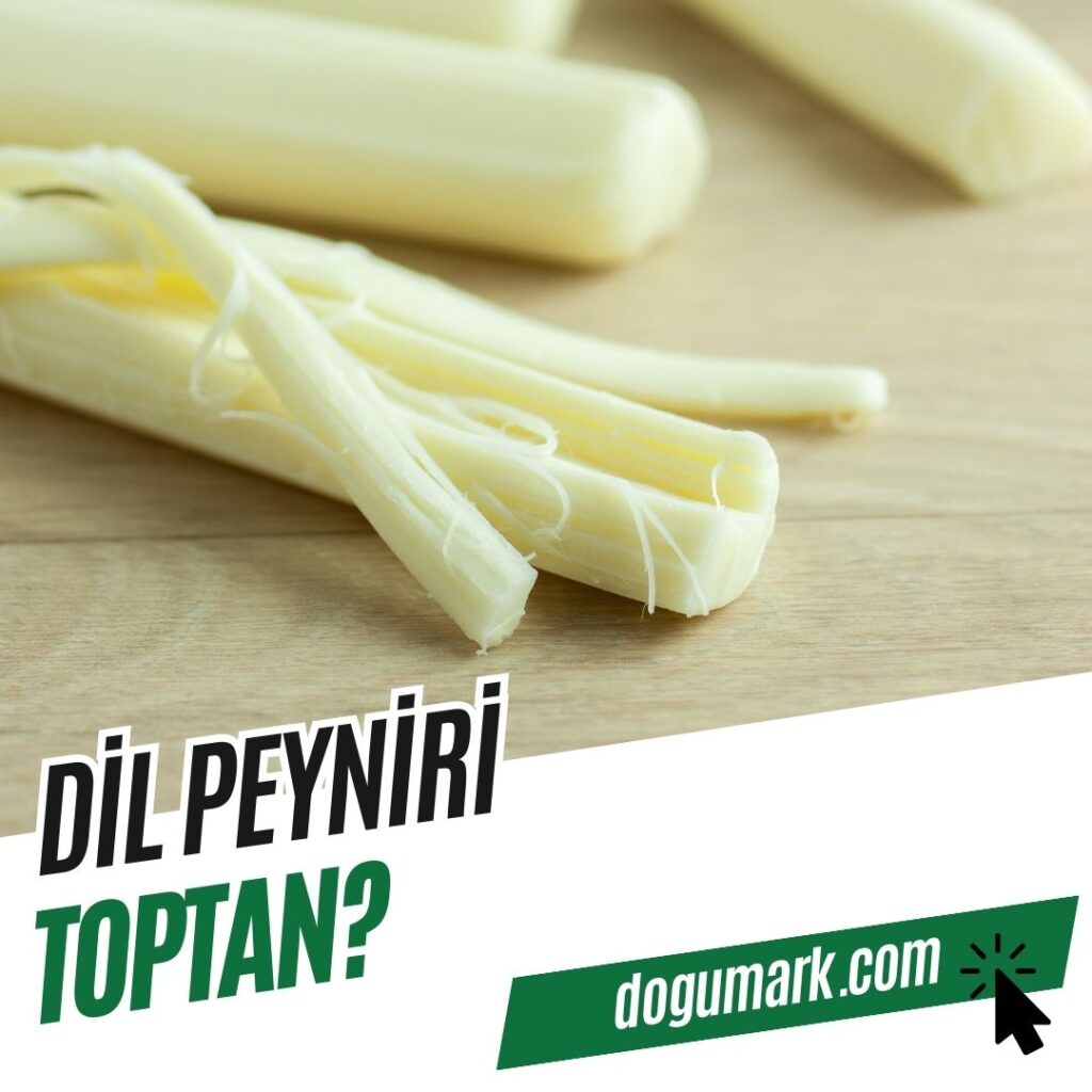 Dil Peyniri Toptan