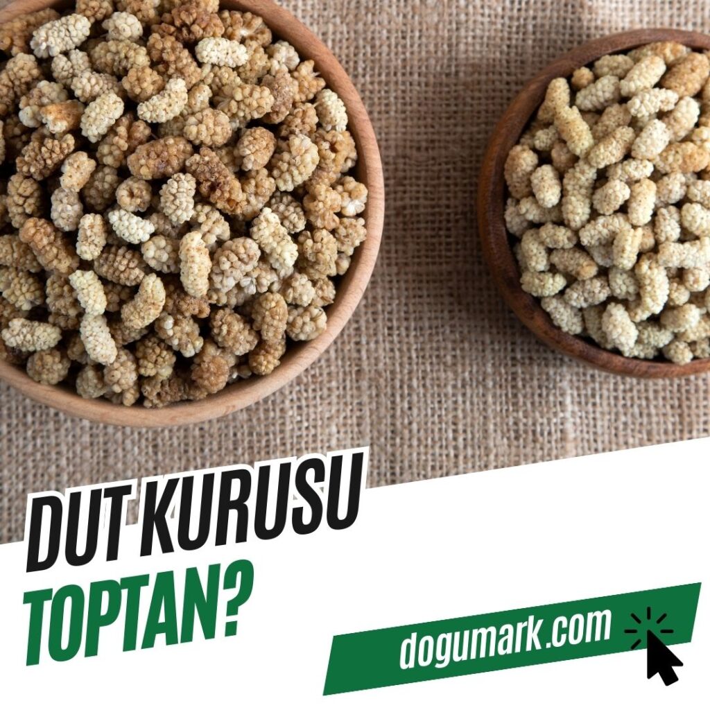 Dut Kurusu Toptan