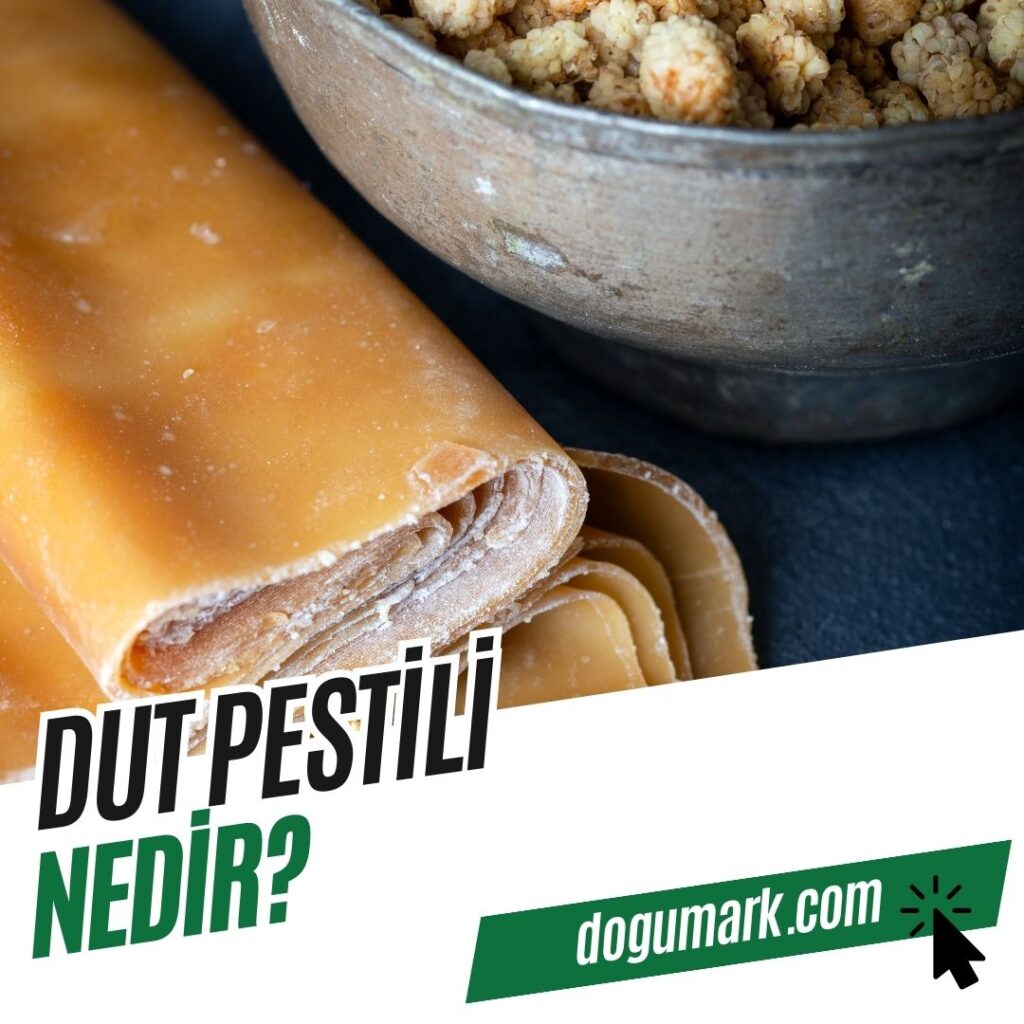 Dut Pestili Nedir