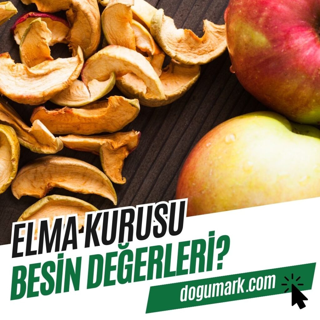 Elma Kurusu Besin Değerleri