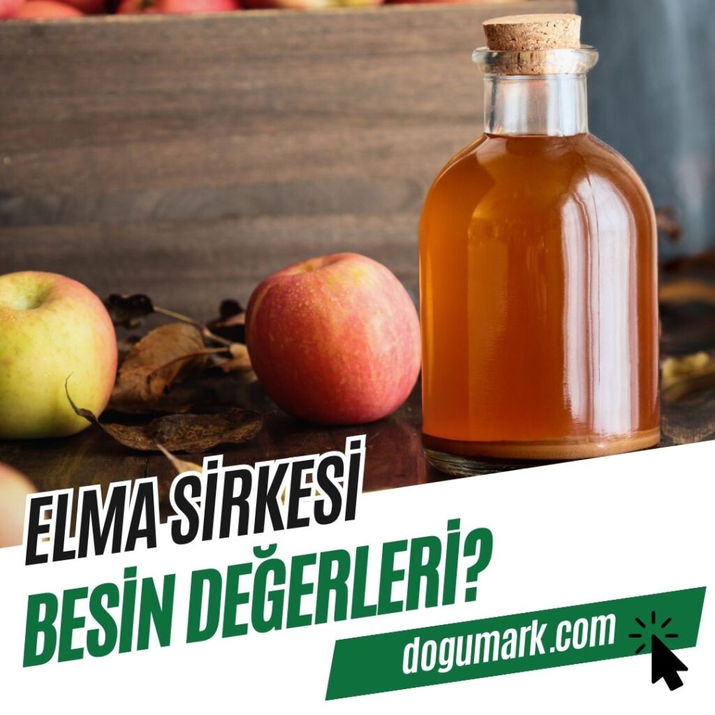 Elma Sirkesi Besin Değerleri