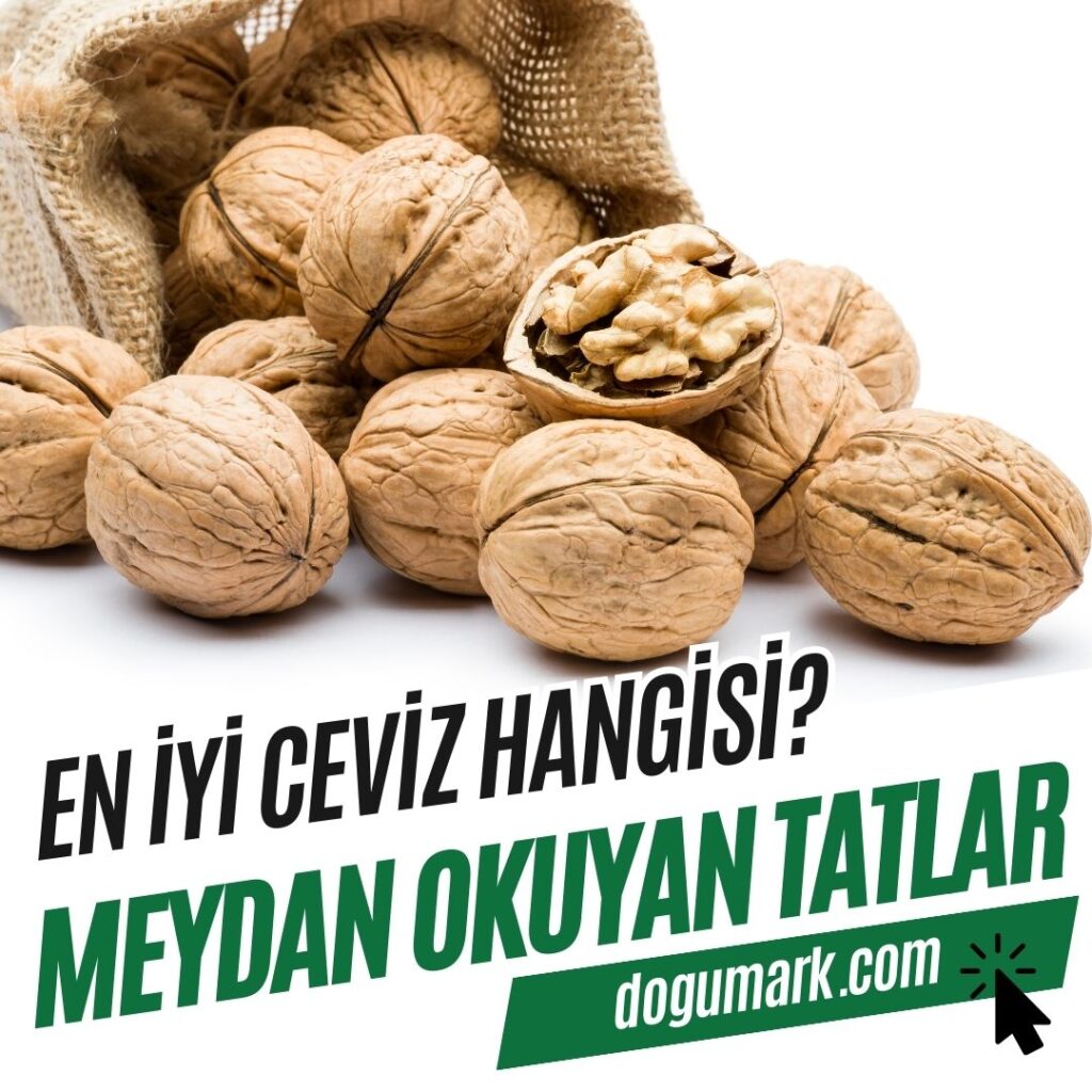 En İyi Ceviz Hangisi