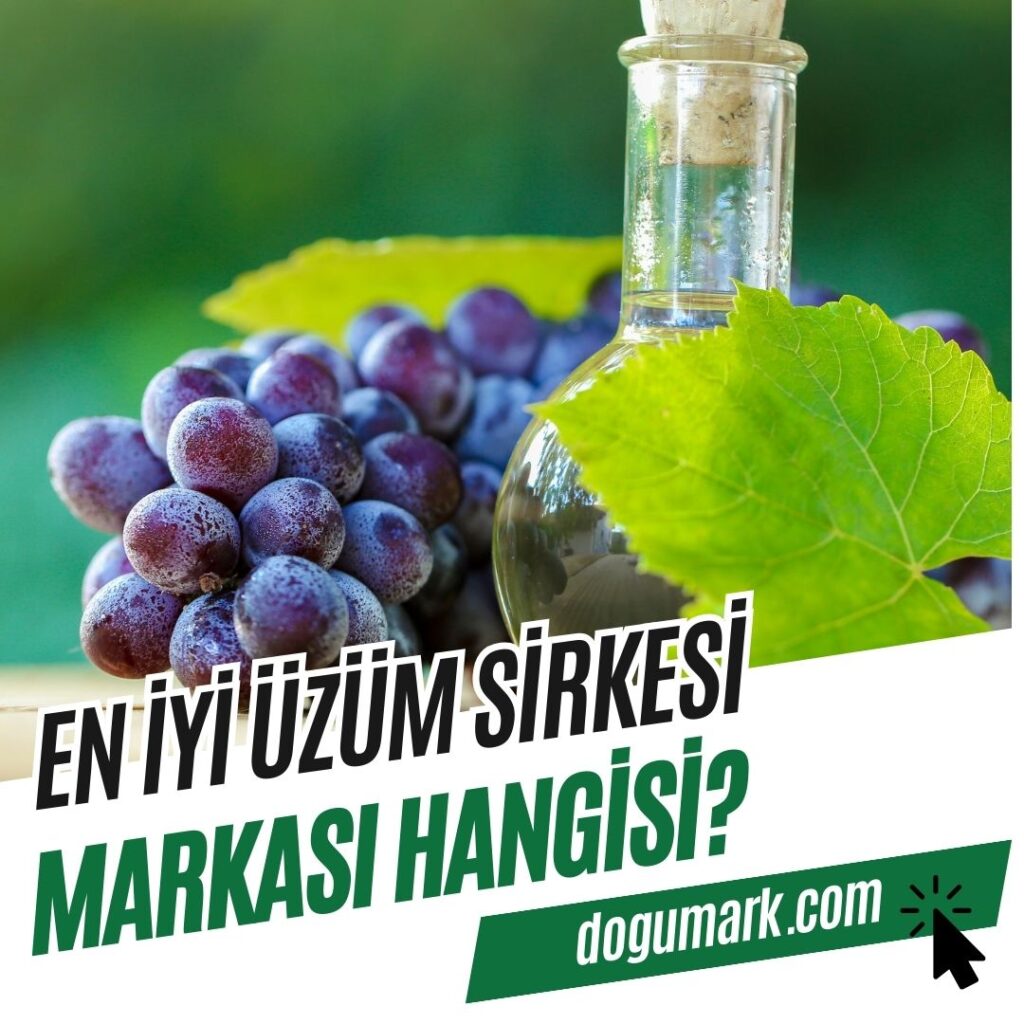 En İyi Üzüm Sirkesi Markası Hangisi