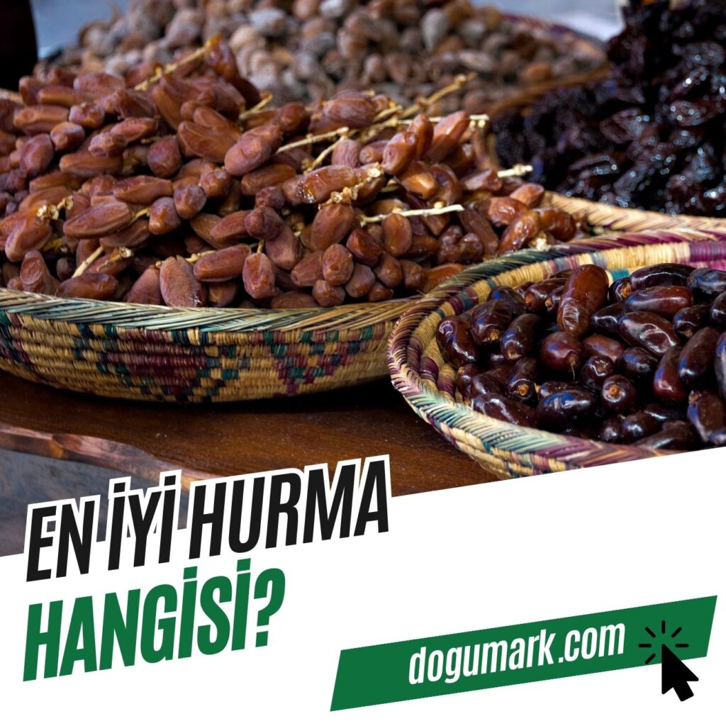 En iyi Hurma Hangisi