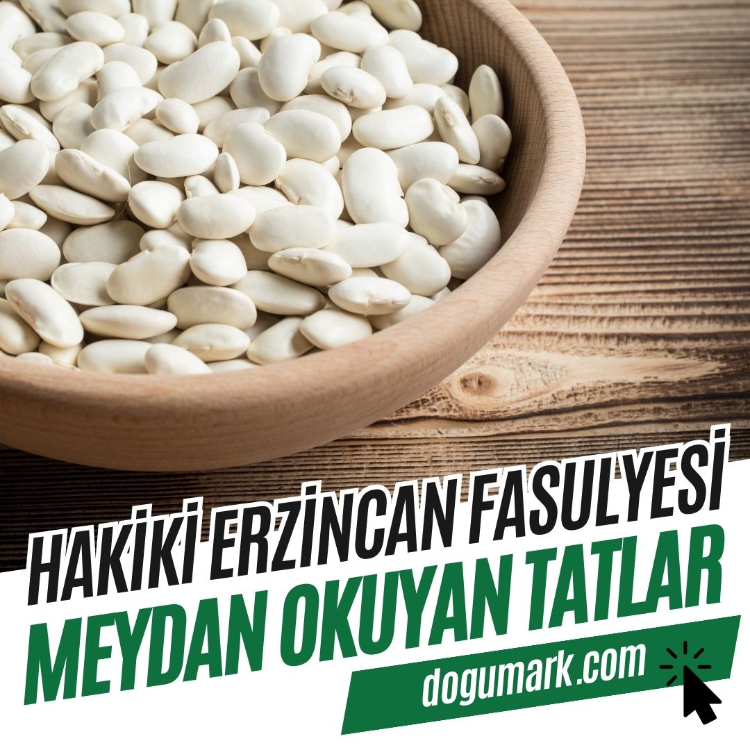 Hakiki Erzincan Fasulyesi