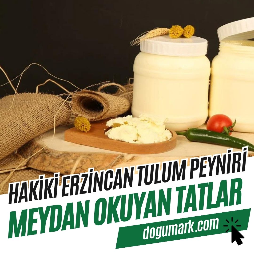 Hakiki Erzincan Tulum Peyniri