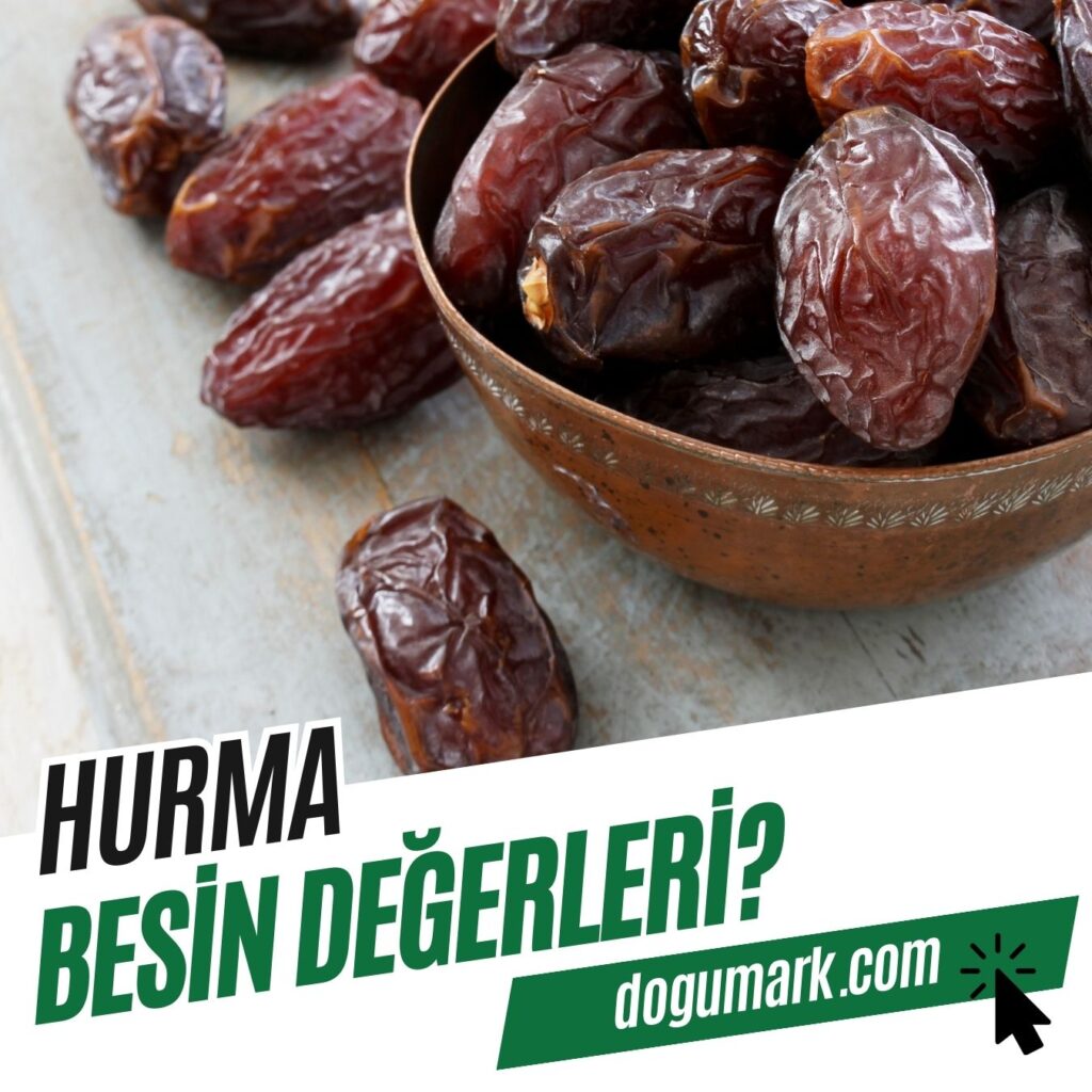 Hurma Besin Değerleri