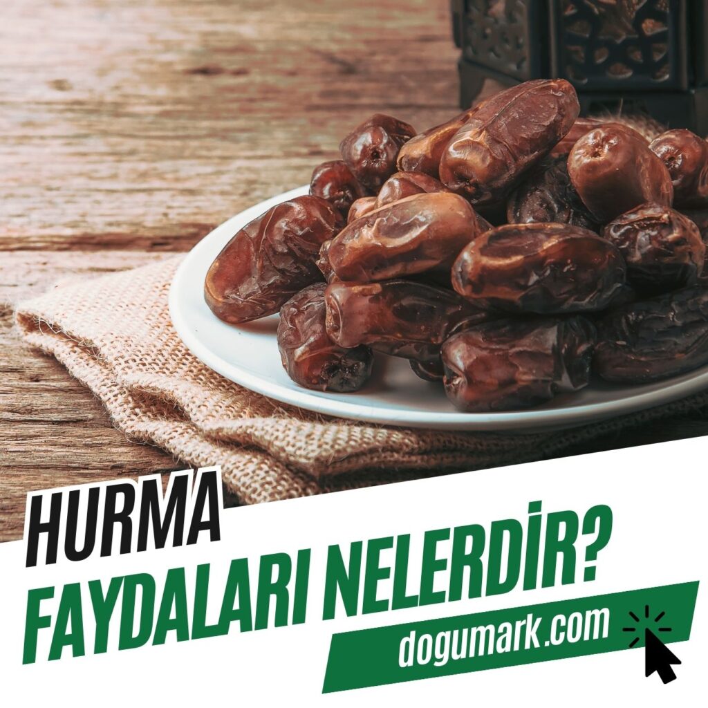 Hurma Faydaları Nelerdir