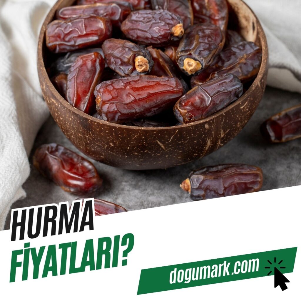 Hurma Fiyatları