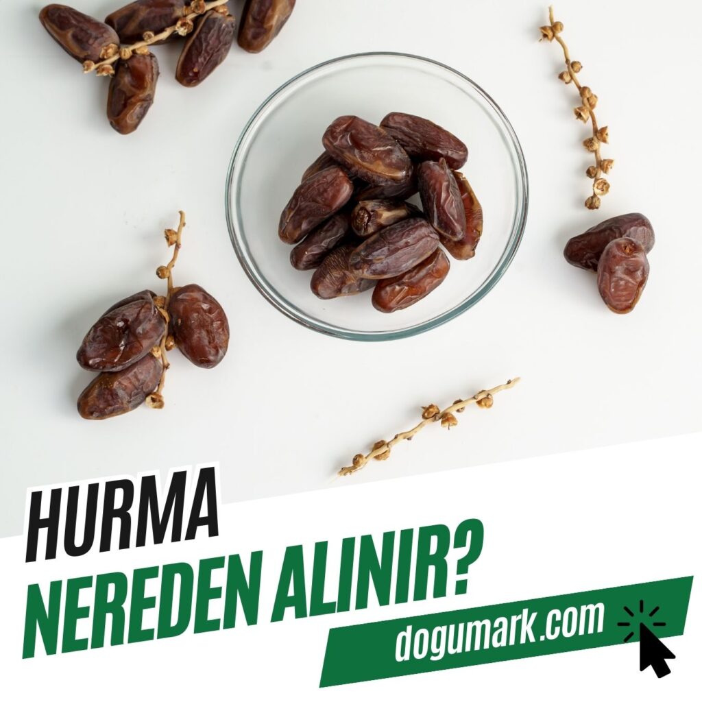 Hurma Nereden Alınır