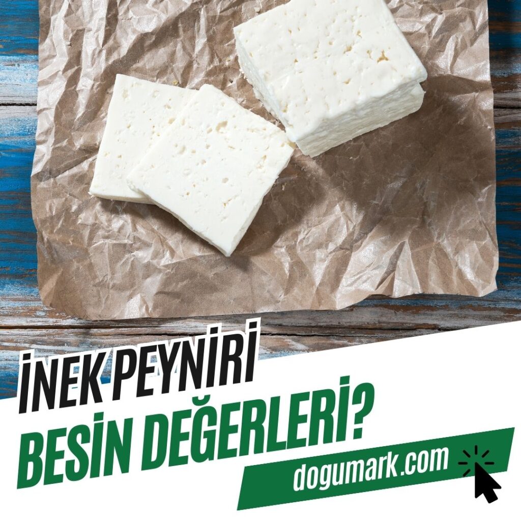 İnek Peyniri Besin Değerleri