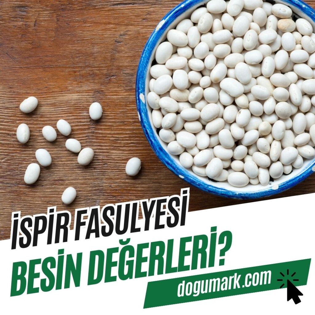İspir Fasulyesi Besin Değerleri