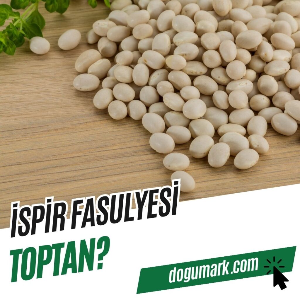 İspir Fasulyesi Toptan