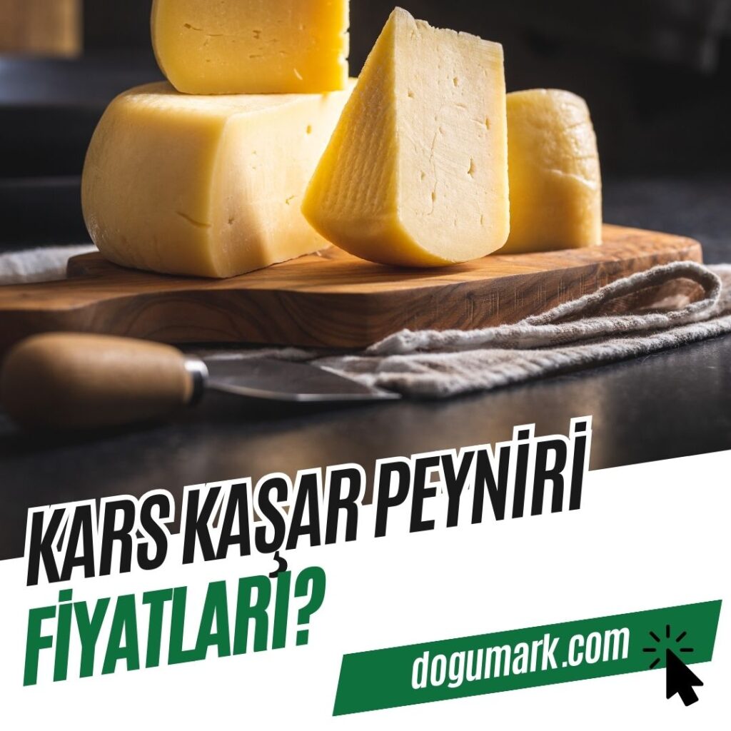 Kars Kaşar Peyniri Fiyatları