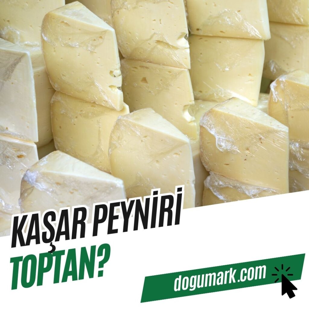 Kaşar Peyniri Toptan