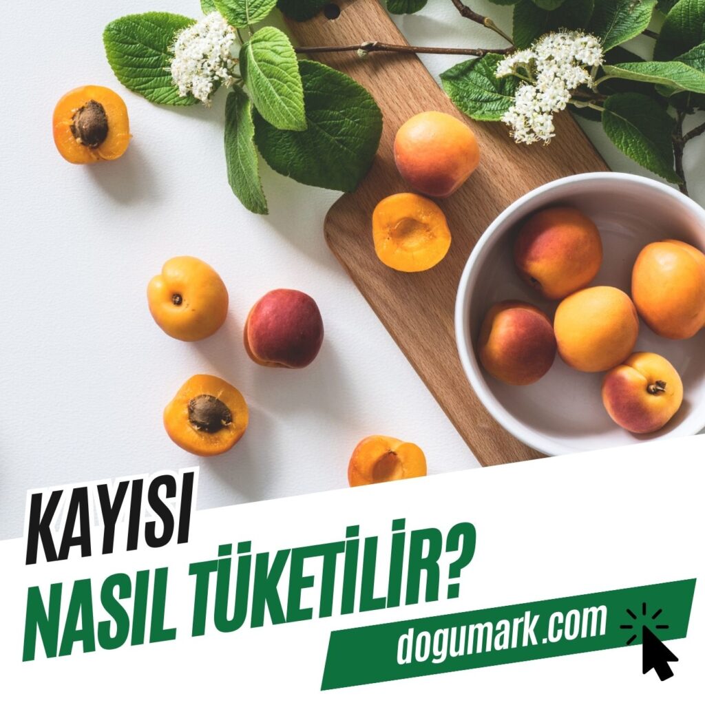 Kayısı Nasıl Tüketilir