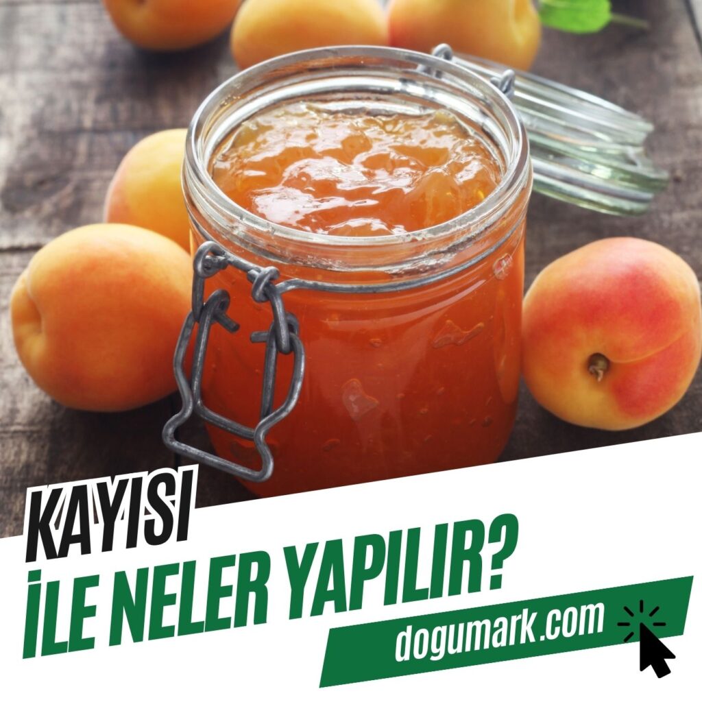 Kayısı ile Neler Yapılır