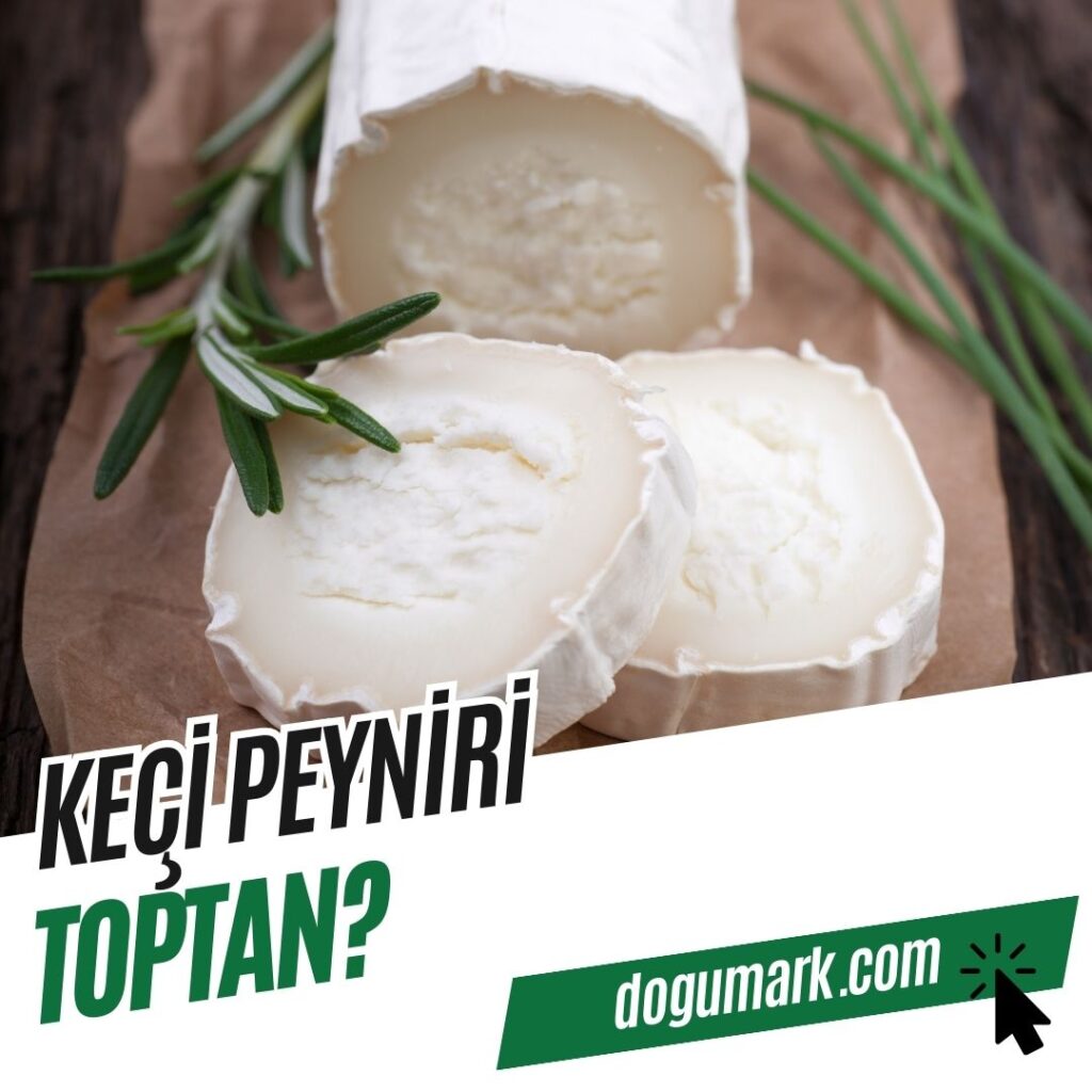 Keçi Peyniri Toptan