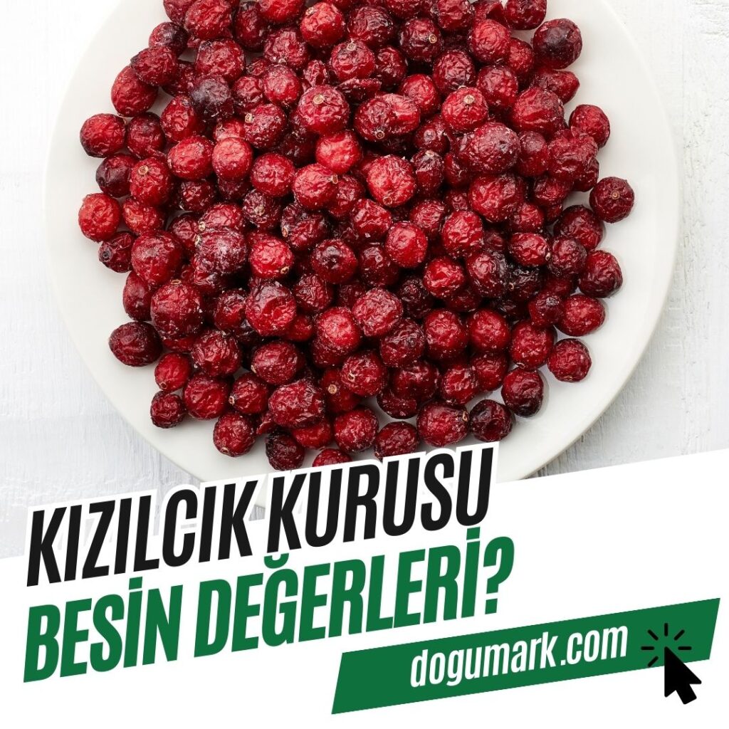 Kızılcık Kurusu Besin Değerleri