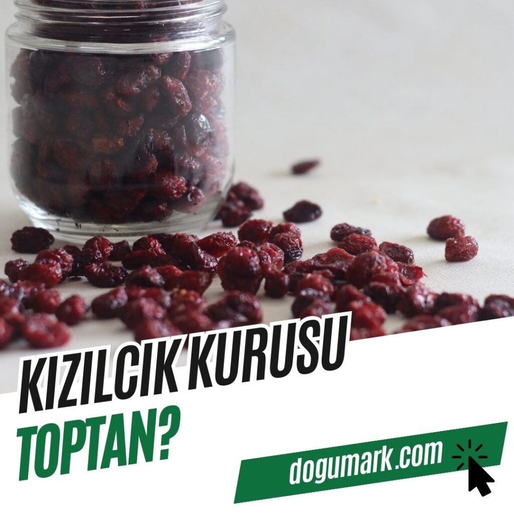 Kızılcık Kurusu Toptan