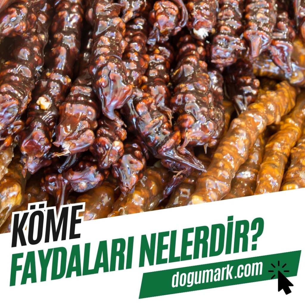 Köme Faydaları Nelerdir