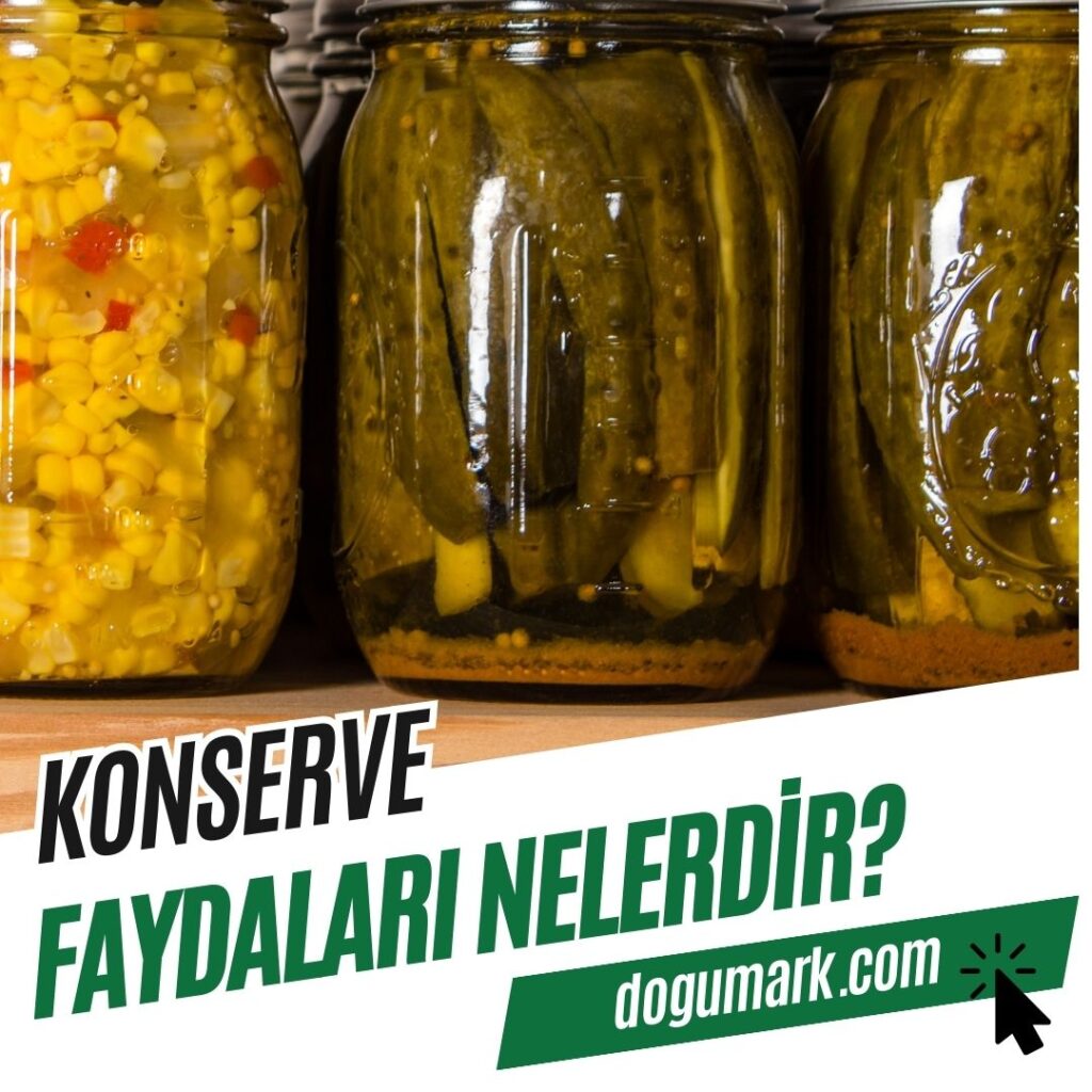 Konserve Faydaları Nelerdir