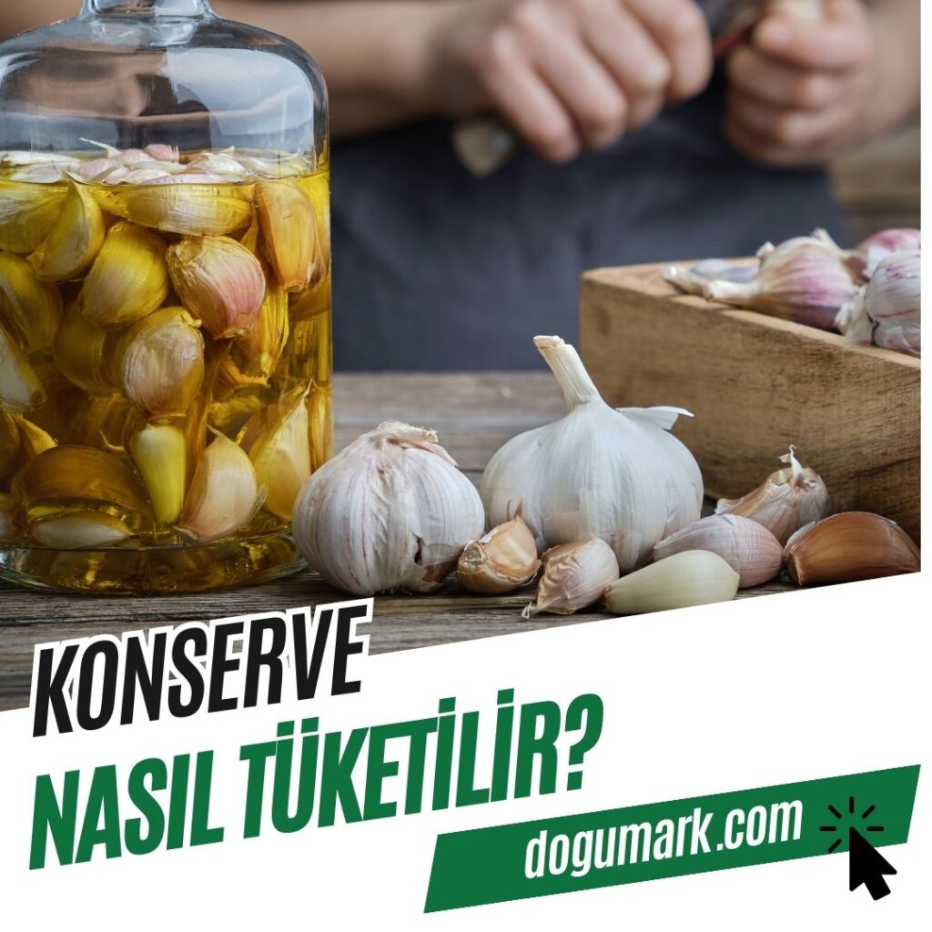 Konserve Nasıl Tüketilir