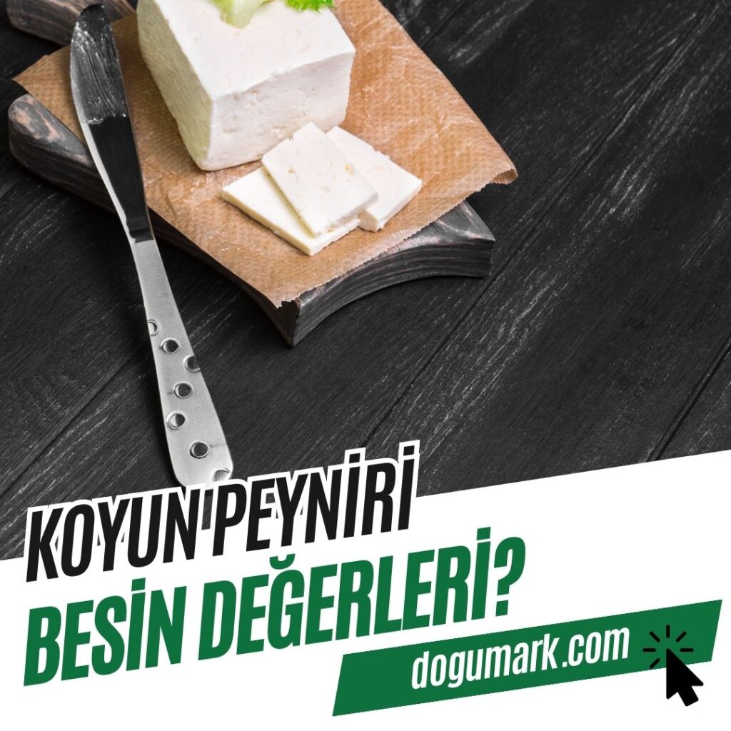 Koyun Peyniri Besin Değerleri