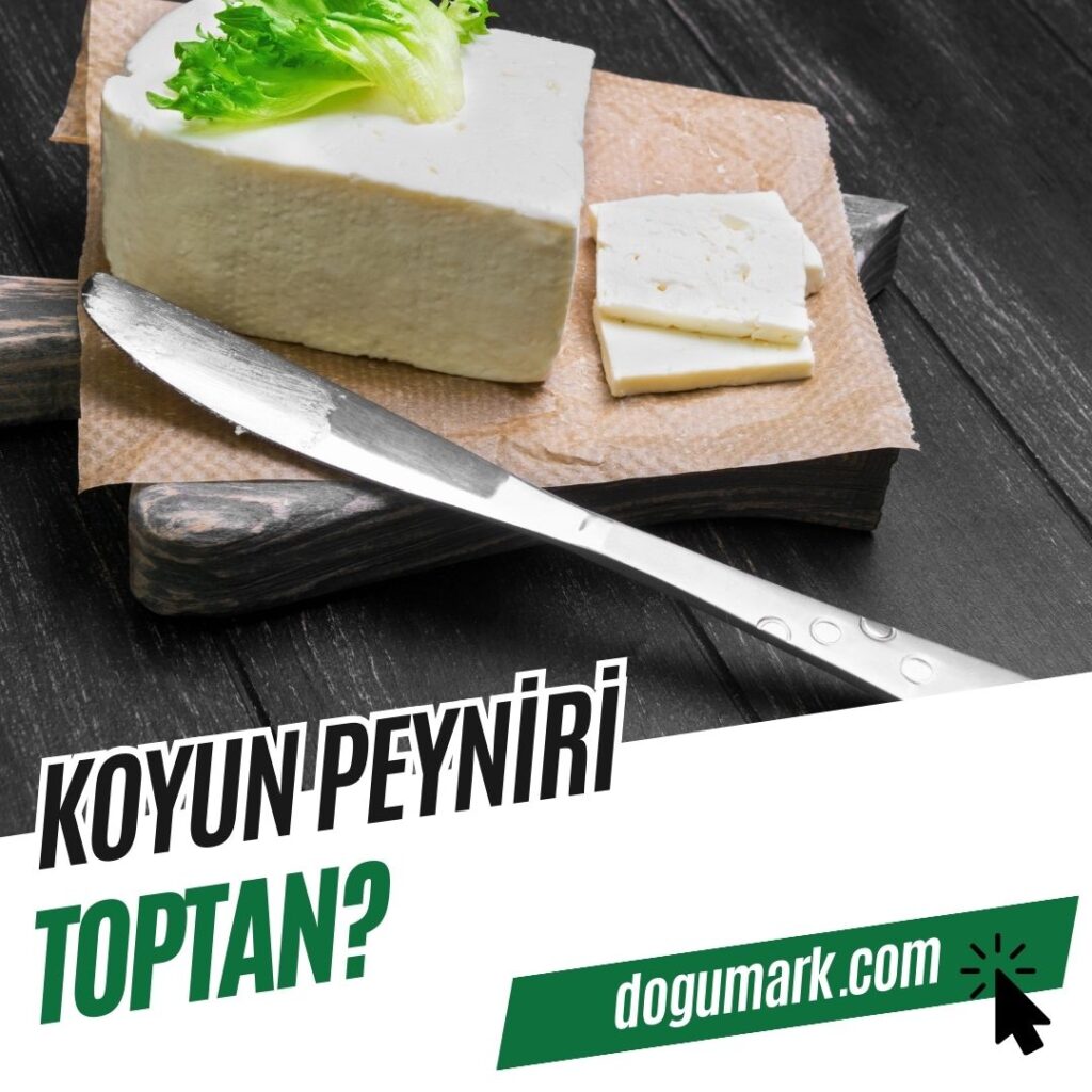Koyun Peyniri Toptan