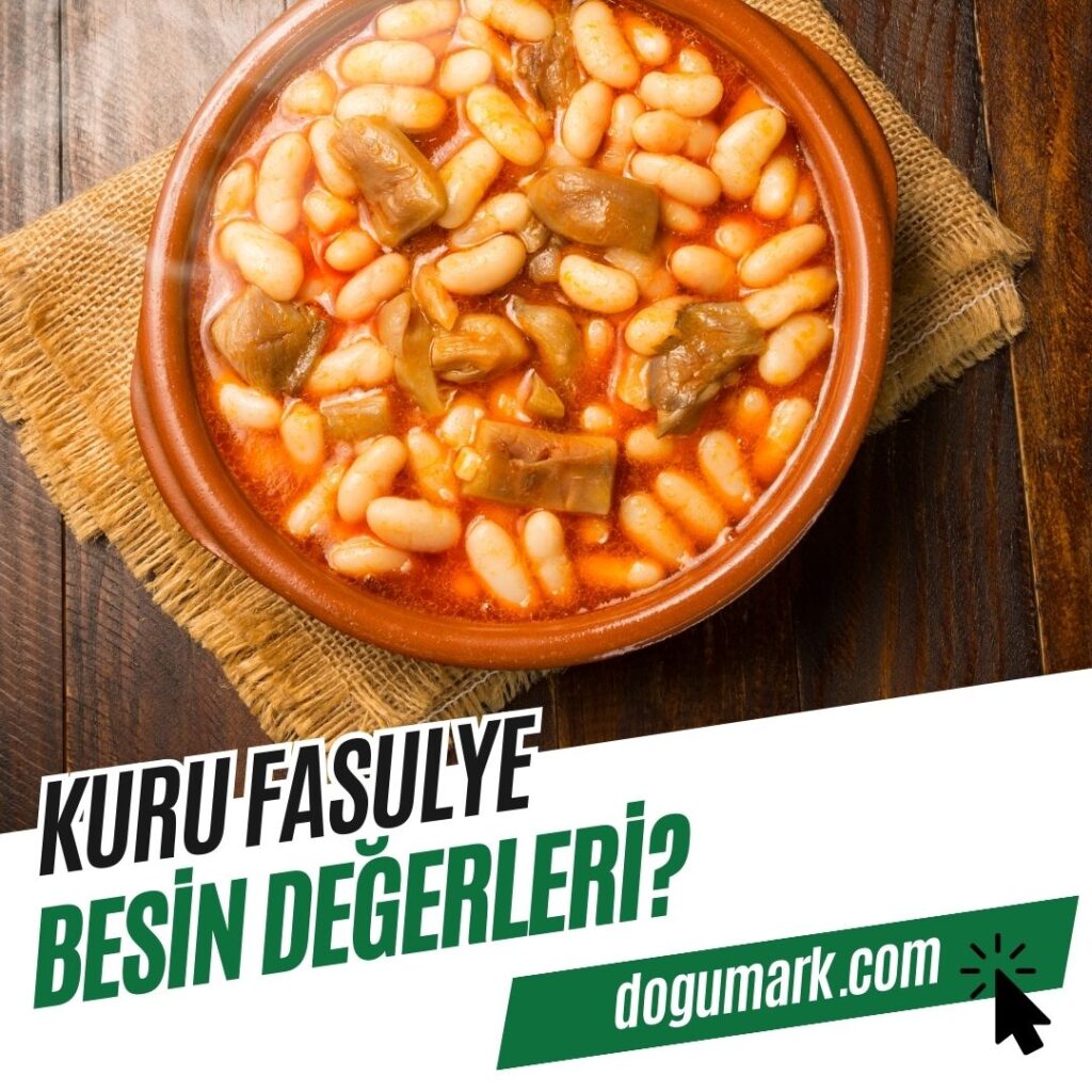 Kuru Fasulye Besin Değerleri