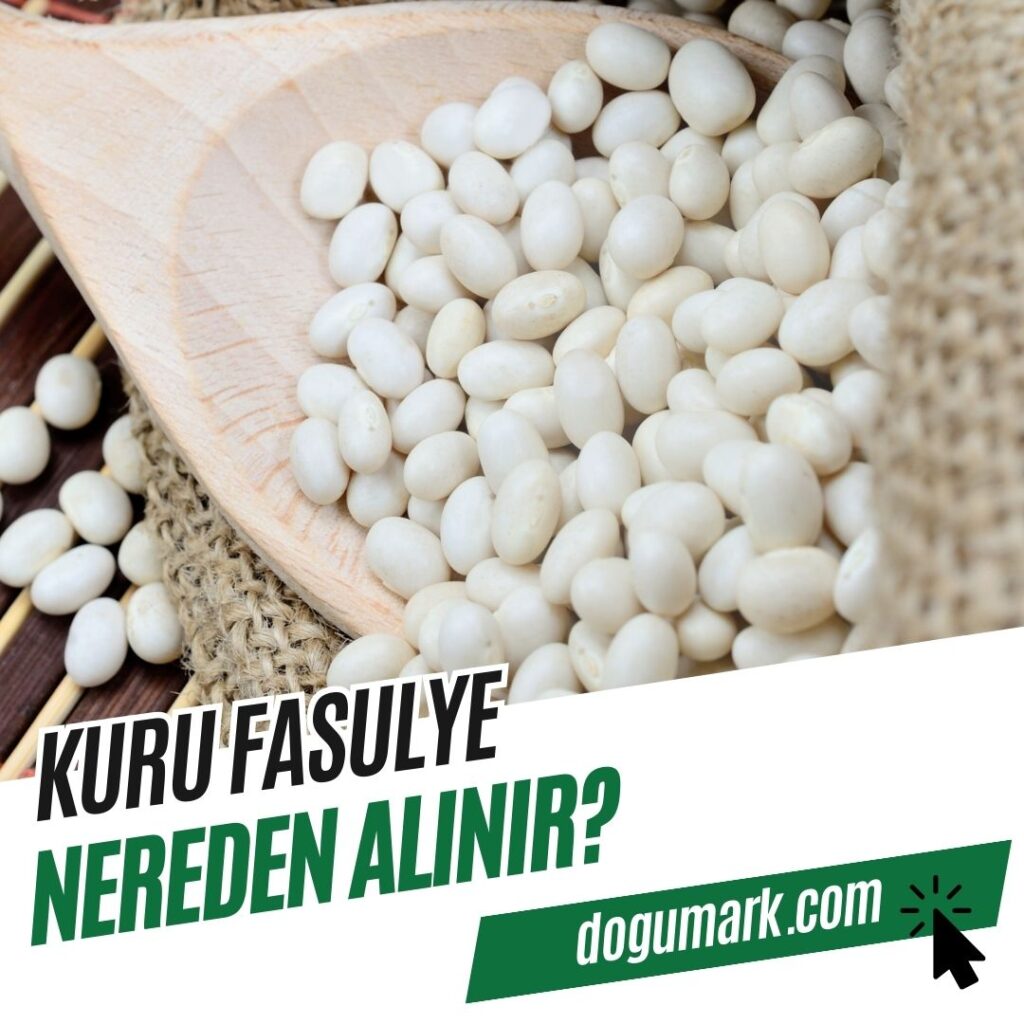 Kuru Fasulye Nereden Alınır