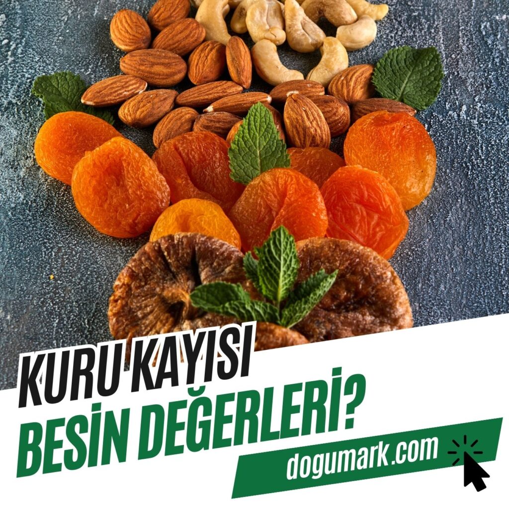 Kuru Kayısı Besin Değerleri