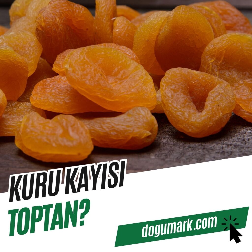 Kuru Kayısı Toptan