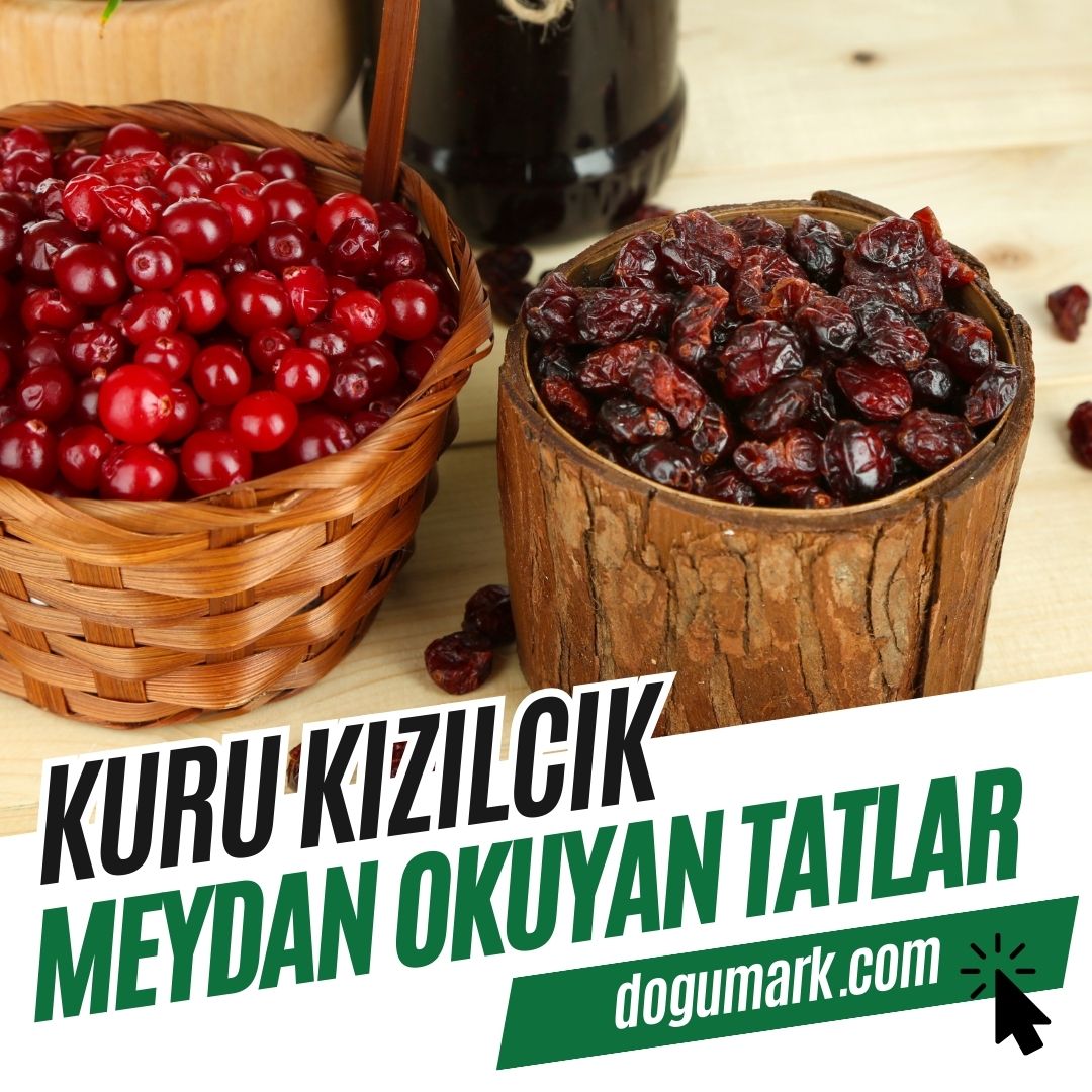 Kuru Kızılcık