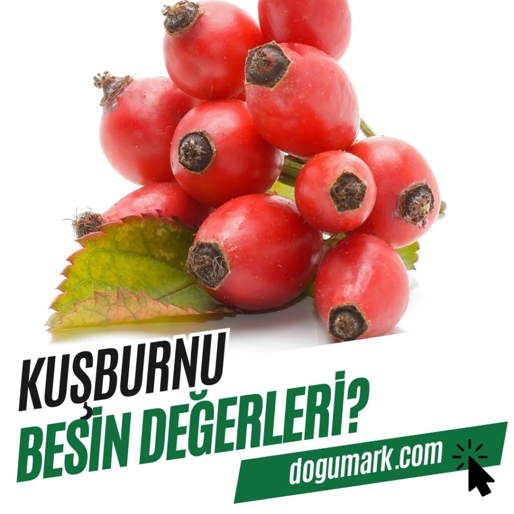 Kuşburnu Besin Değerleri