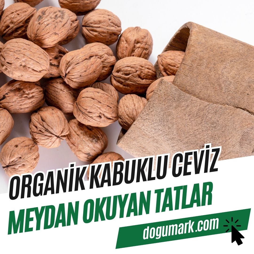 Organik Kabuklu Ceviz
