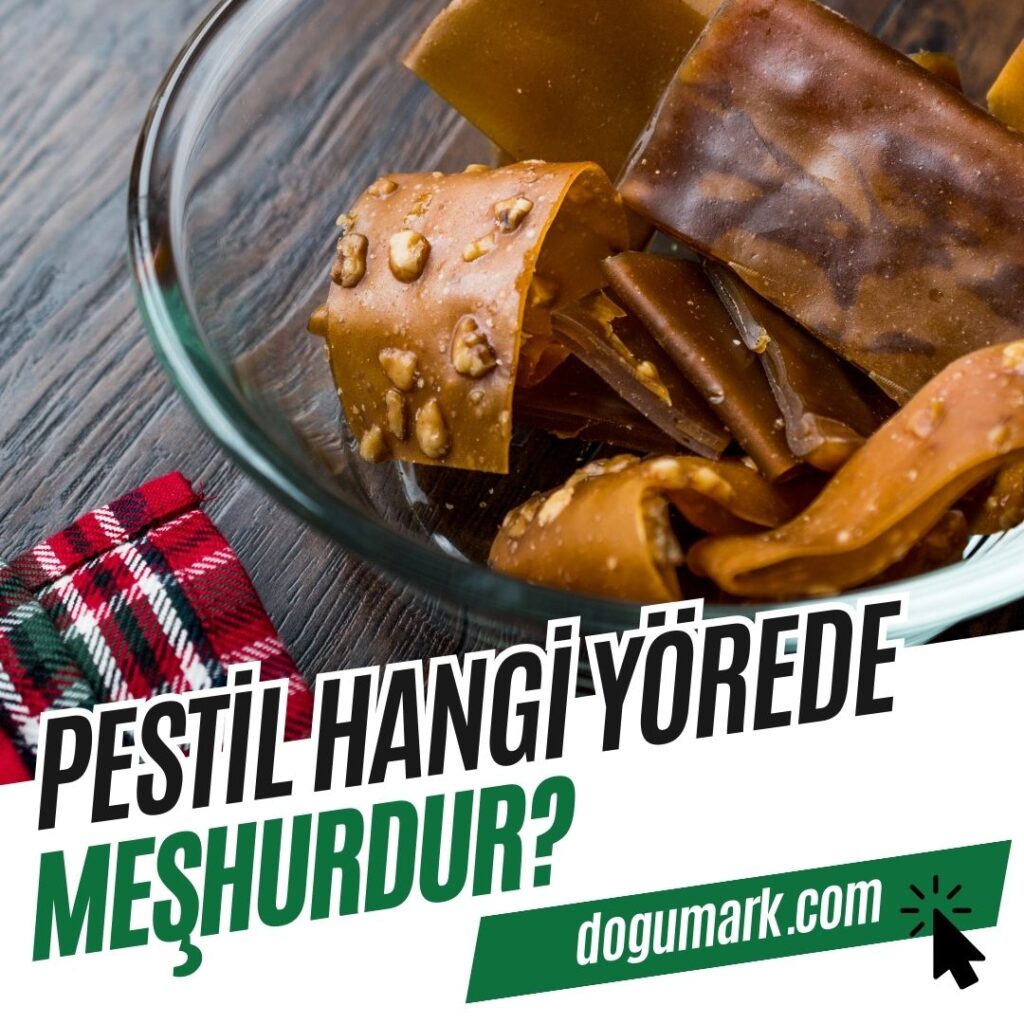 Pestil Hangi Yörede Meşhurdur