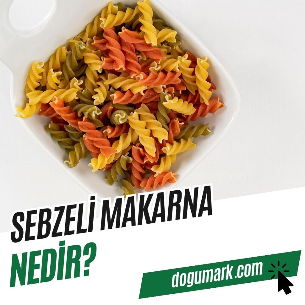 Sebzeli Makarna Nedir