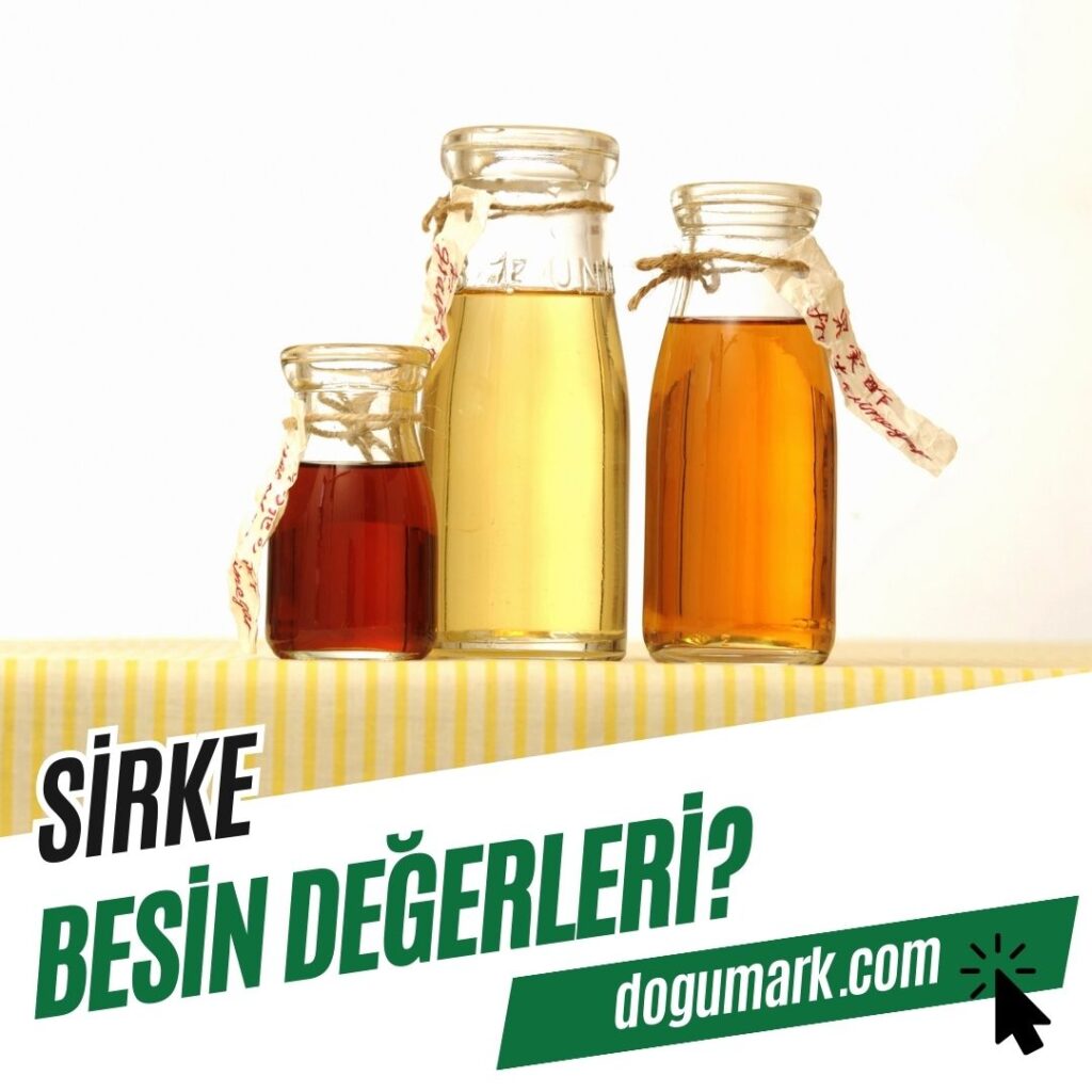 Sirke Besin Değerleri