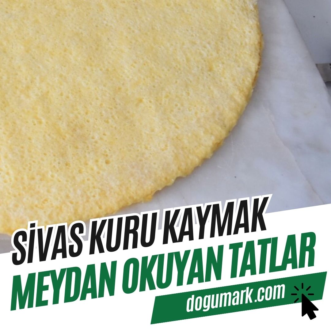 Sivas Kuru Kaymak