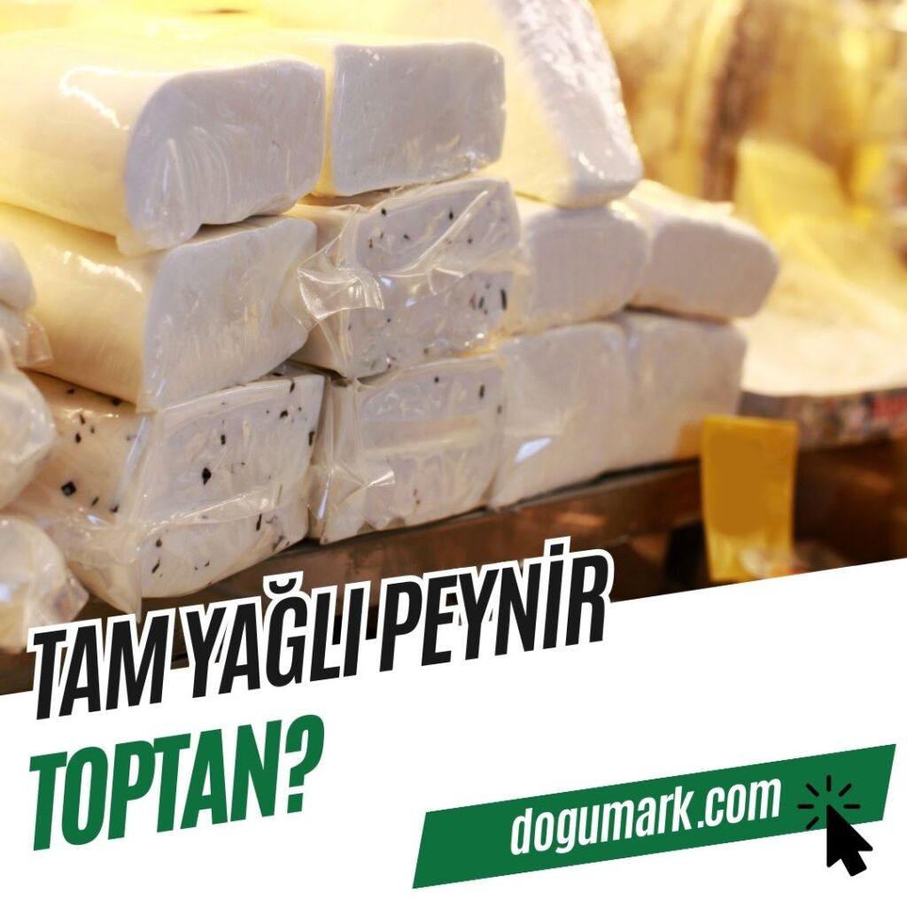 Tam Yağlı Peynir Toptan